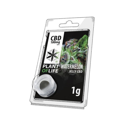 Résine CBD Watermelon 1GR | PLANT OF LIFE