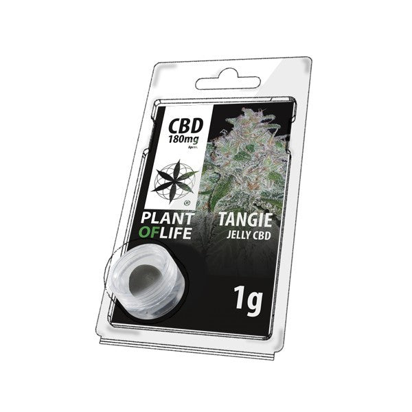 Résine CBD Tangie 1GR | PLANT OF LIFE