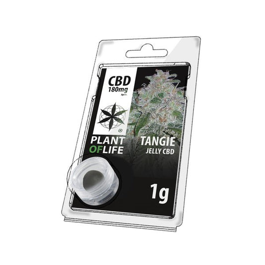 Résine CBD Tangie 1GR | PLANT OF LIFE