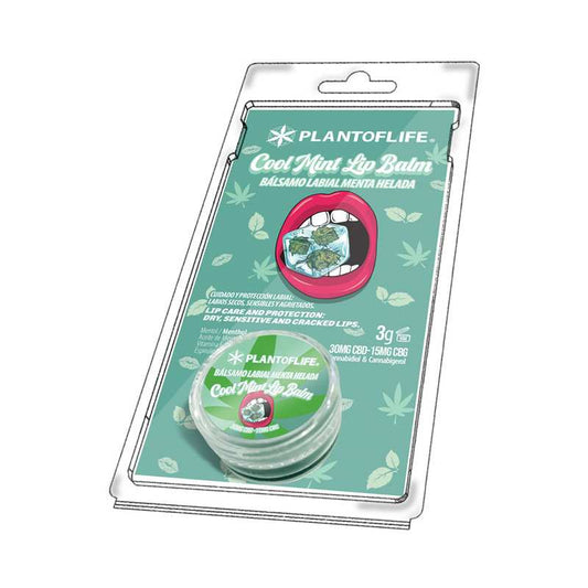 Baume lèvres CBD &amp; CBG menthe | PLANT OF LIFE
