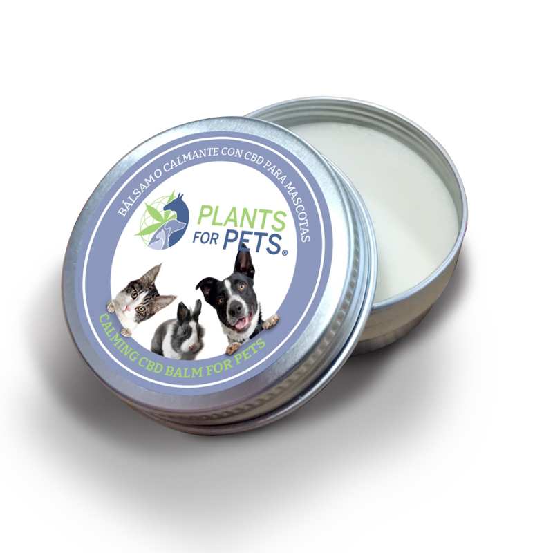 Baume CBD apaisant pour animaux | Plants for Pets 500mg
