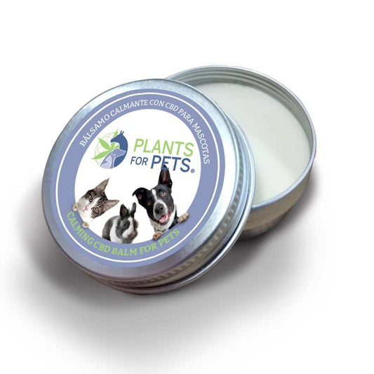 Baume CBD apaisant pour animaux | Plants for Pets 500mg