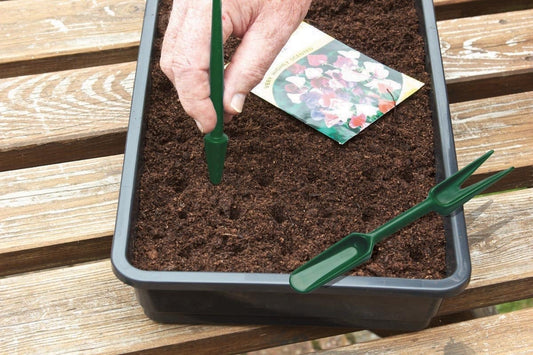 Transplanteur et Plantoir, outils distribution de graines