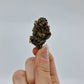 Fleur de CBD - BLACKBERRY | LA FLEUR FRANÇAISE - Le Fermier CBD®
