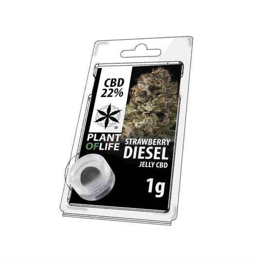 Résine CBD Strawberry Diesel | PLANT OF LIFE - Le Fermier CBD®