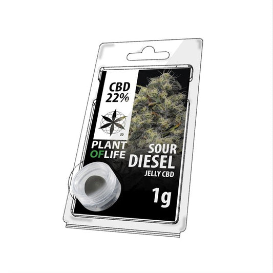 Résine CBD Sour Diesel | PLANT OF LIFE - Le Fermier CBD®