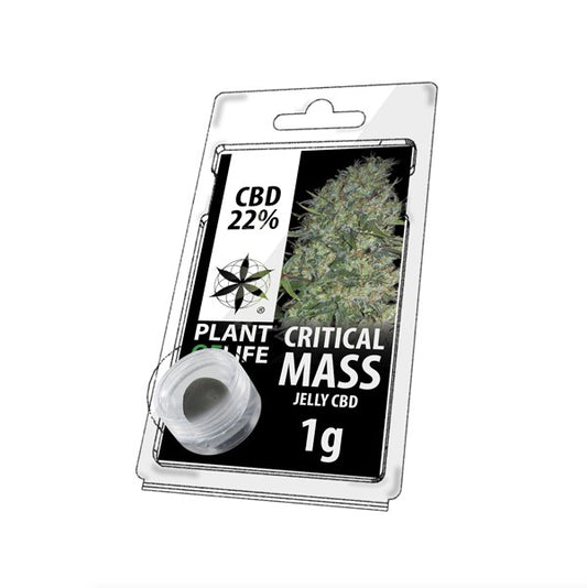 Résine CBD Critical Mass | PLANT OF LIFE - Le Fermier CBD®