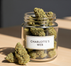 Fleur de CBD - CHARLOTTE'S WEB