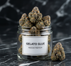 Gelato Glue Indoor Premium