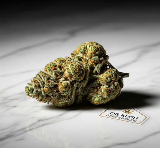 Fleur de CBD OG Kush Greenhouse
