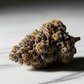 Fleur de CBD Purple Cookie Greenhouse Premium