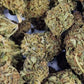 Blackberry outdoor