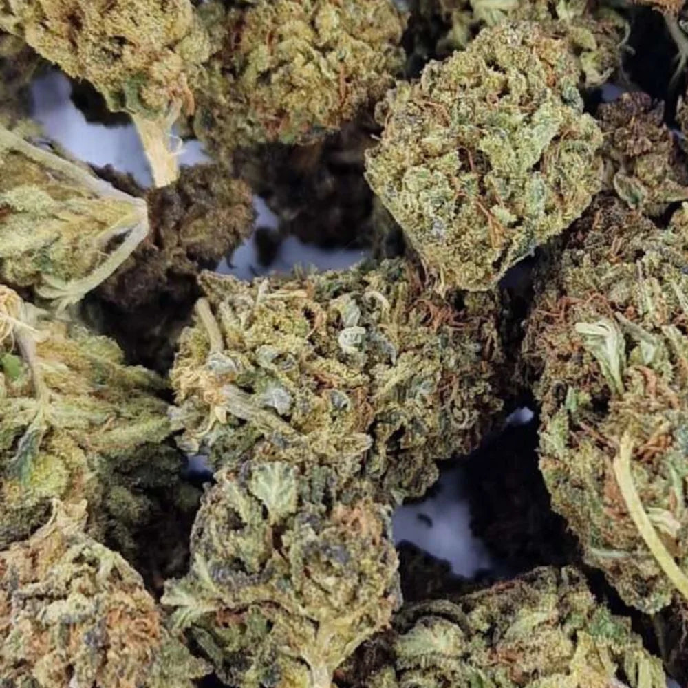 Blackberry outdoor