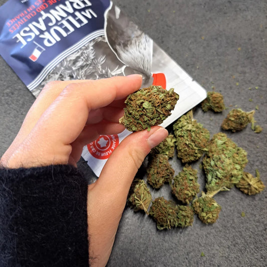 Botadream outdoor