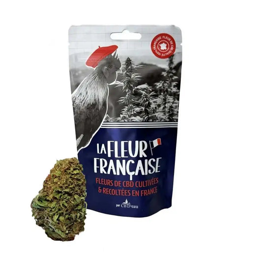 Fleur de CBD - BOTAFLORA