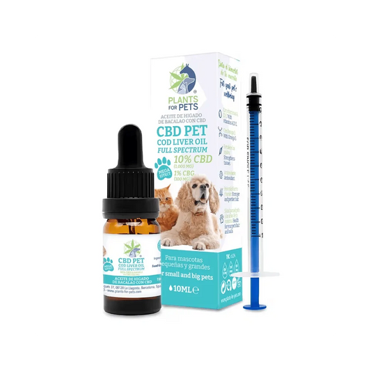 Huile animaux CBD 10% CBG 1% | PLANTS FOR PETS