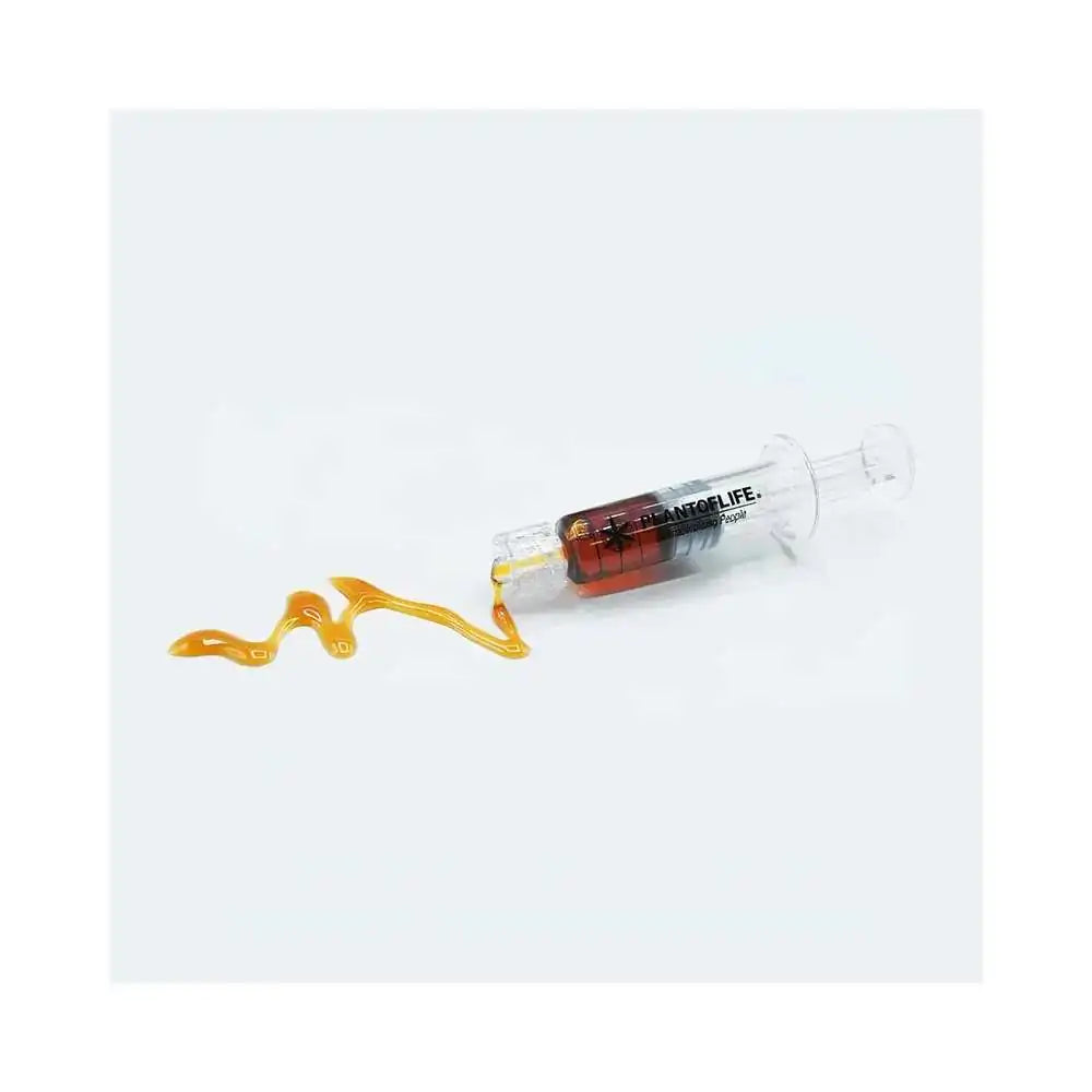 Wax Purple Haze 1ml 66% CBD | PLANT OF LIFE